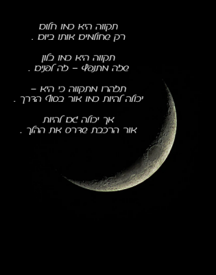 image (4).png