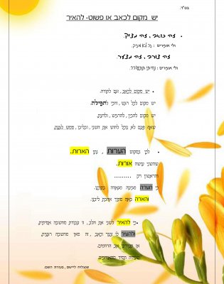 יש מקום לכאב -או פשוט להאיר.