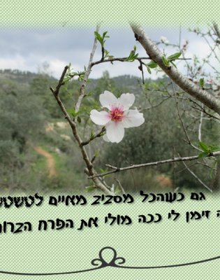 חזית בהירה. הטשטוש נותר מאחור.