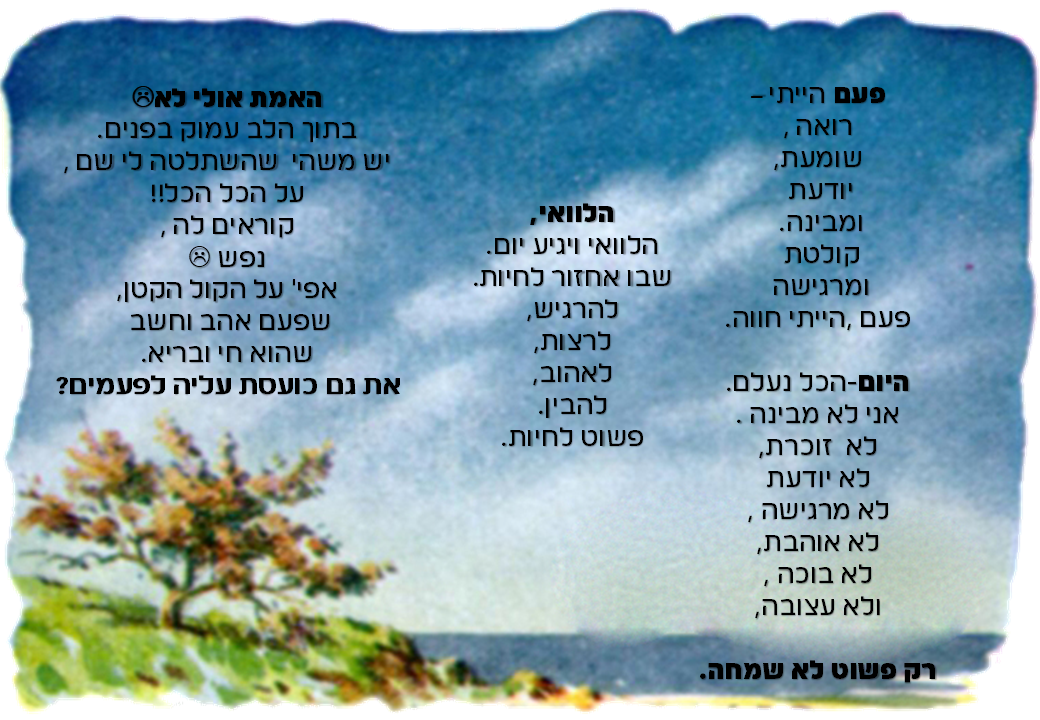 פעם הלוואי.png